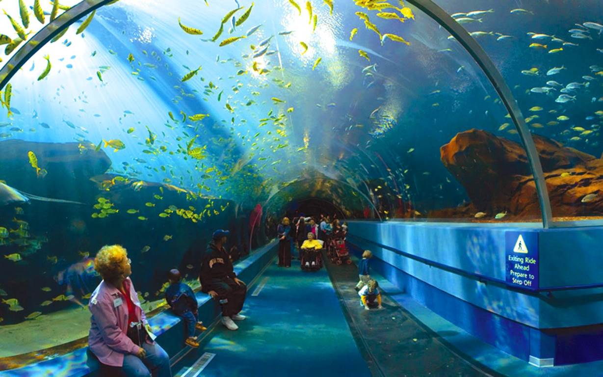 آکواریم ترکیه