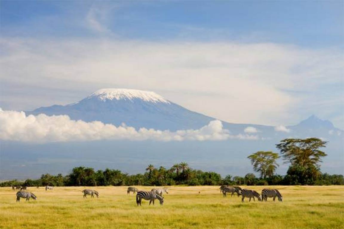 کلیمانجاور