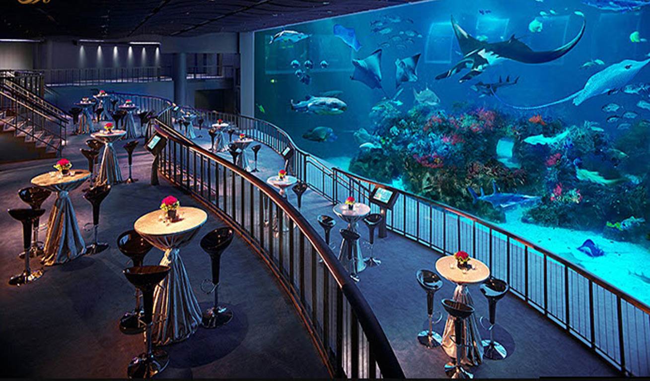 آکواریوم آتالانتا