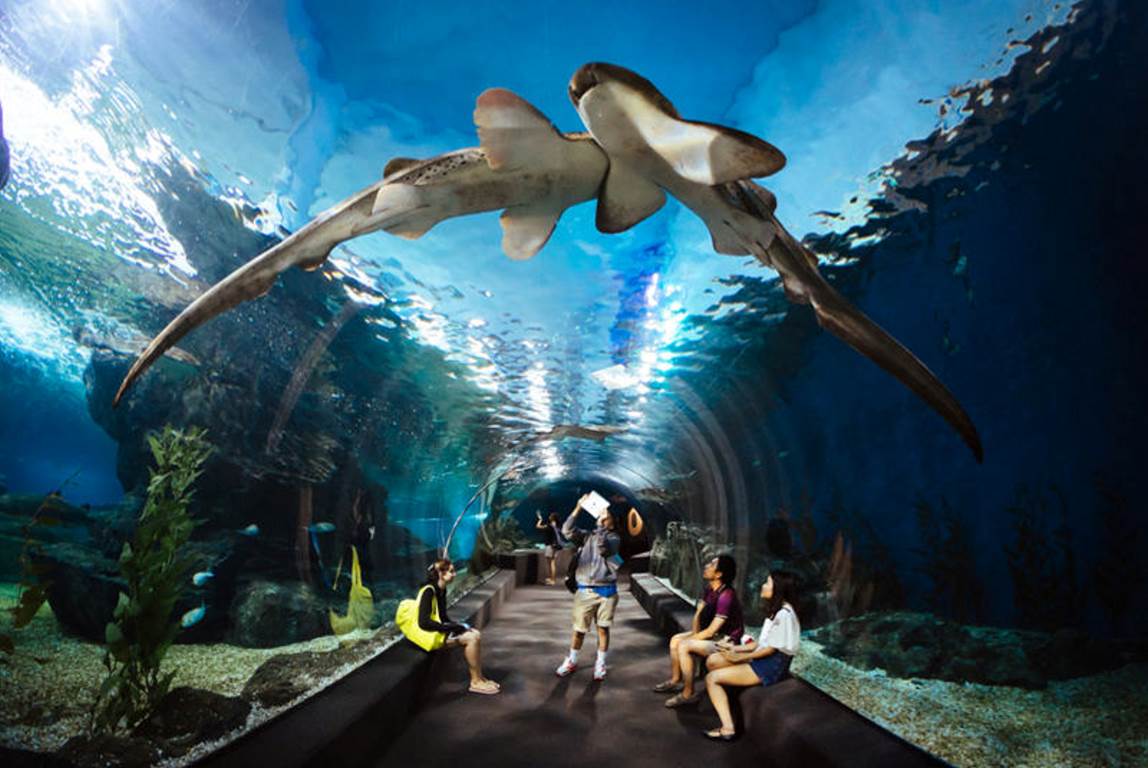 آکواریوم سنگاپور