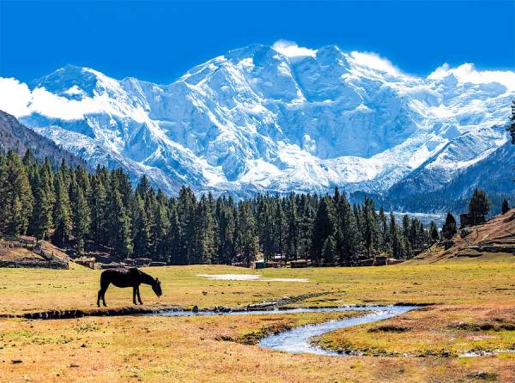 نانگا پاربات