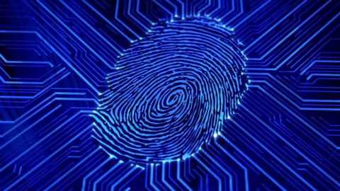 آیا ممکن است اثر انگشت ما منحصر بفرد نباشد؟