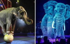 حقایقی جالب که حوصله ندارید دنبال جواب آن‌ها بگردید!