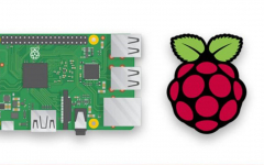 همه چیز در مورد رزبری پای