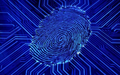 آیا ممکن است اثر انگشت ما منحصر بفرد نباشد؟